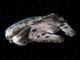 falcon1