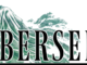 berserk image une