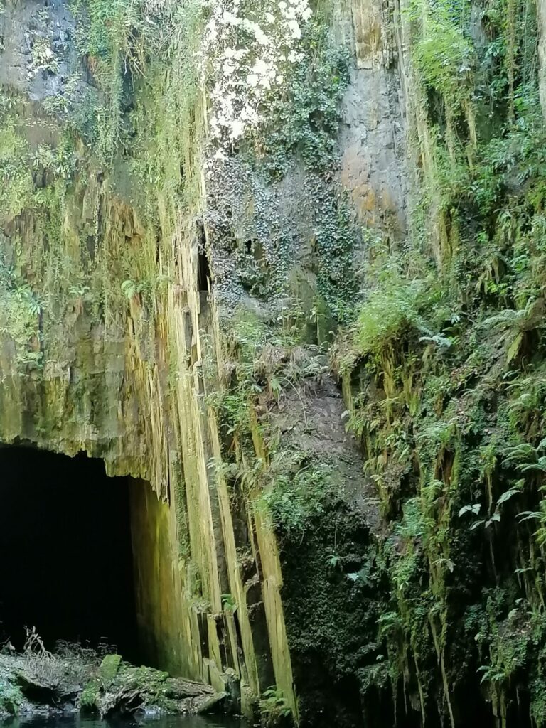 IMG 20220809 145741