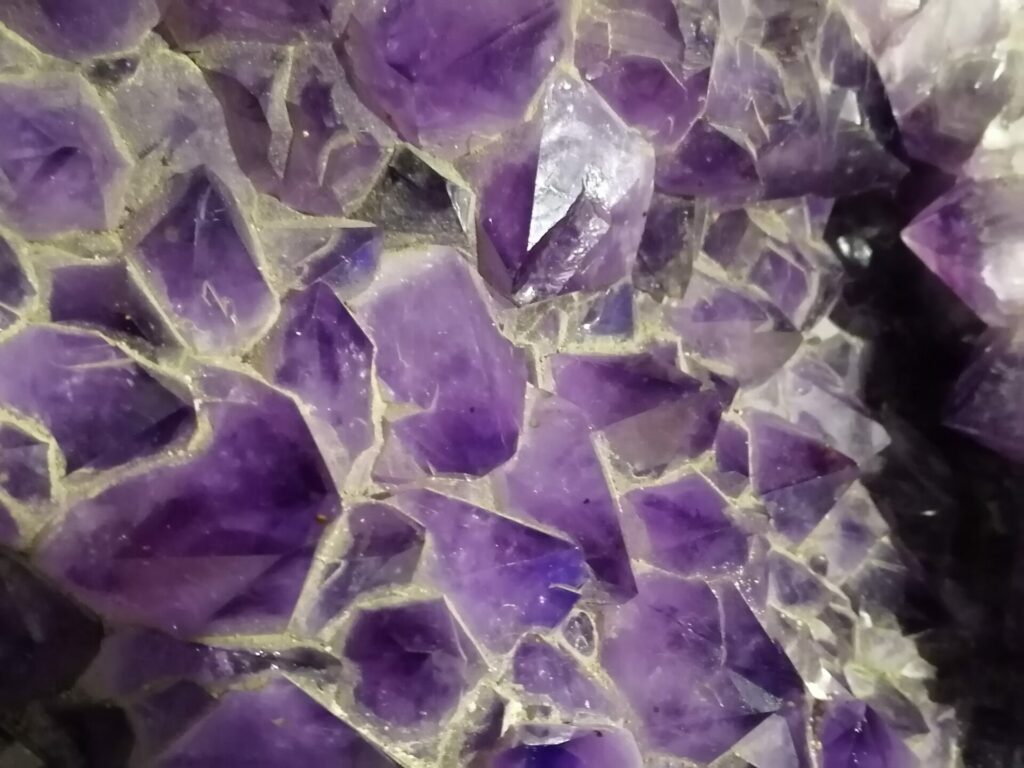 IMG 20220809 152459 1