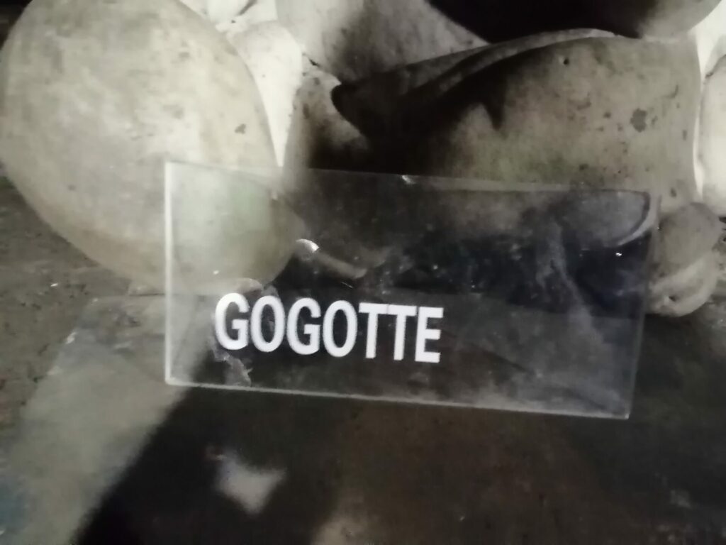 IMG 20220809 152530