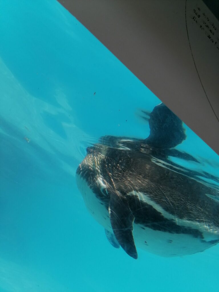 IMG 20220811 145518