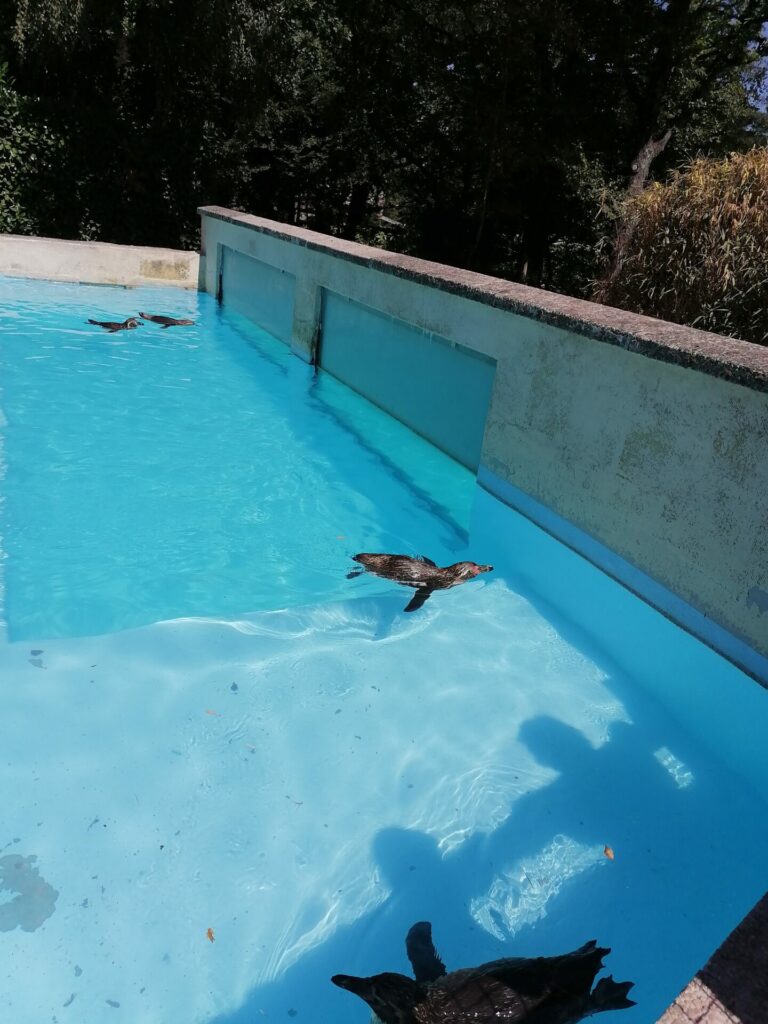 IMG 20220811 145538