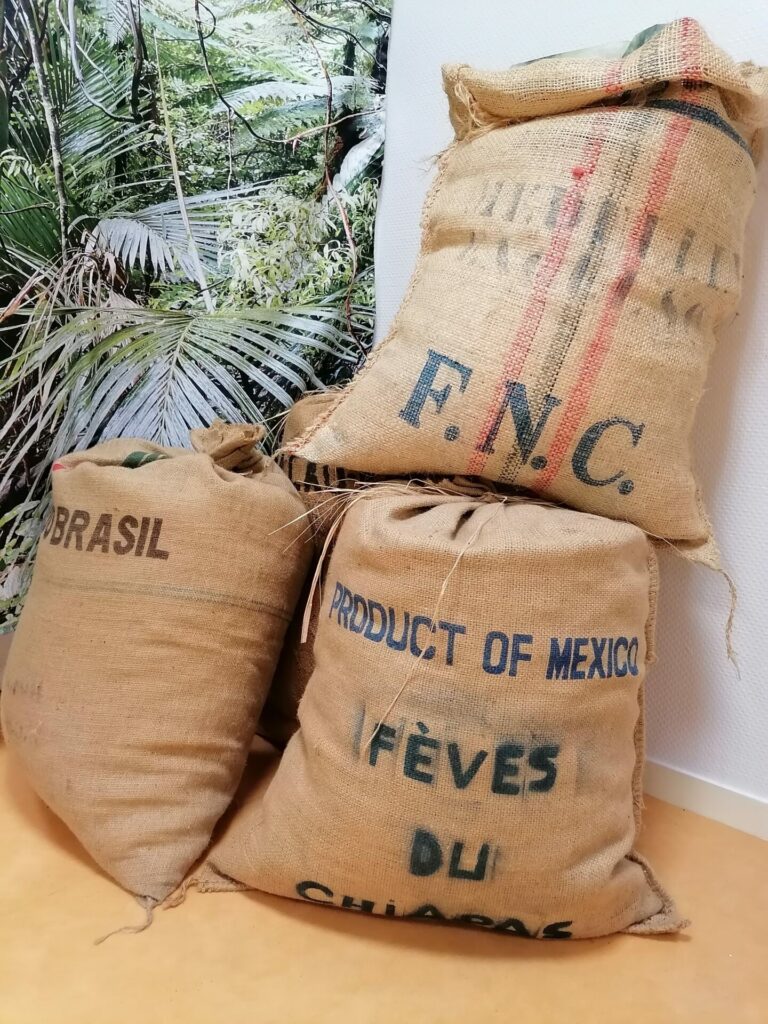 IMG 20220819 155914