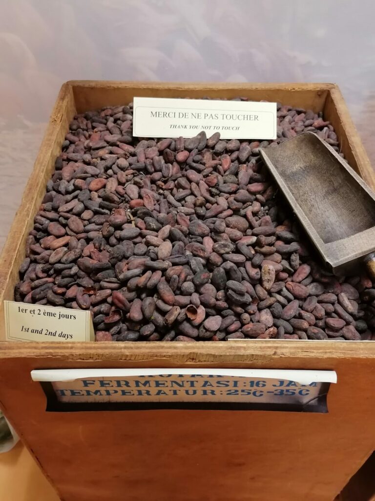 IMG 20220819 160544
