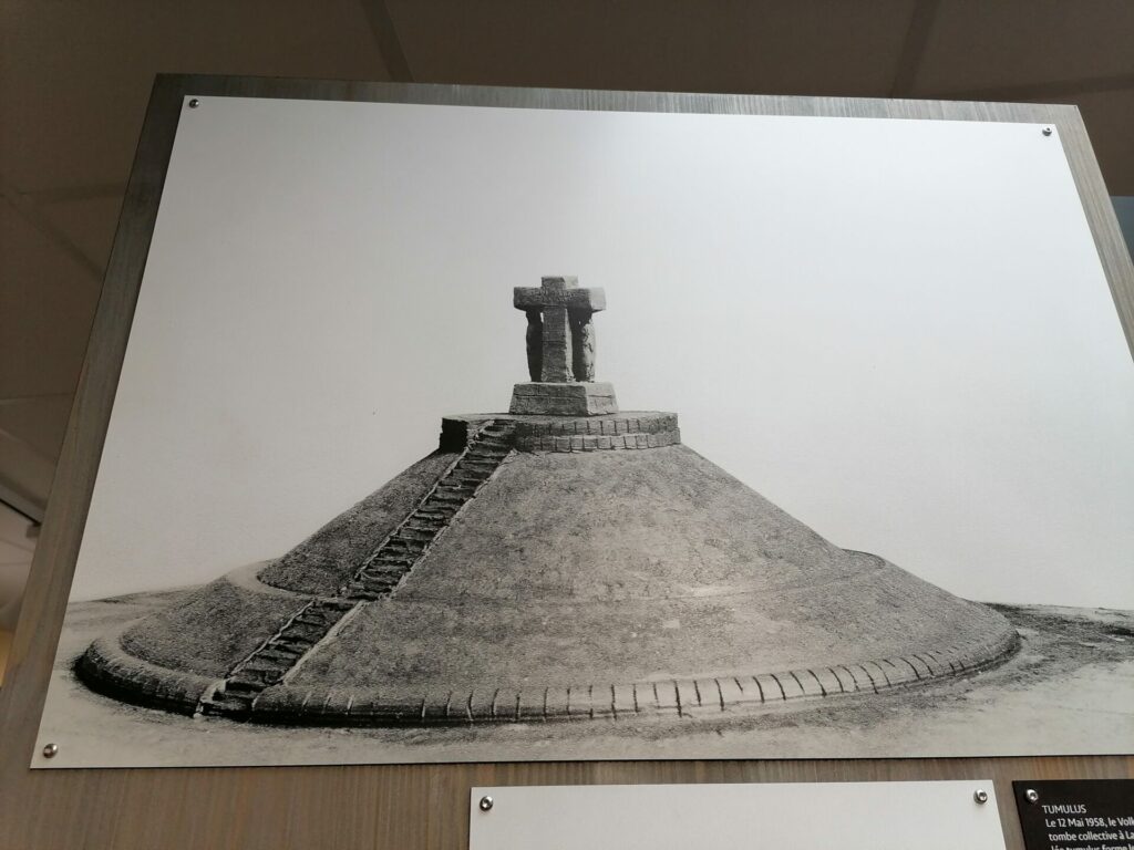 IMG 20220823 125051