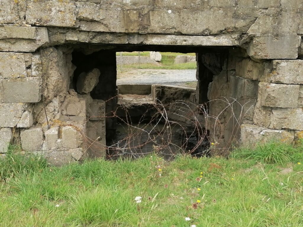 IMG 20220823 153612