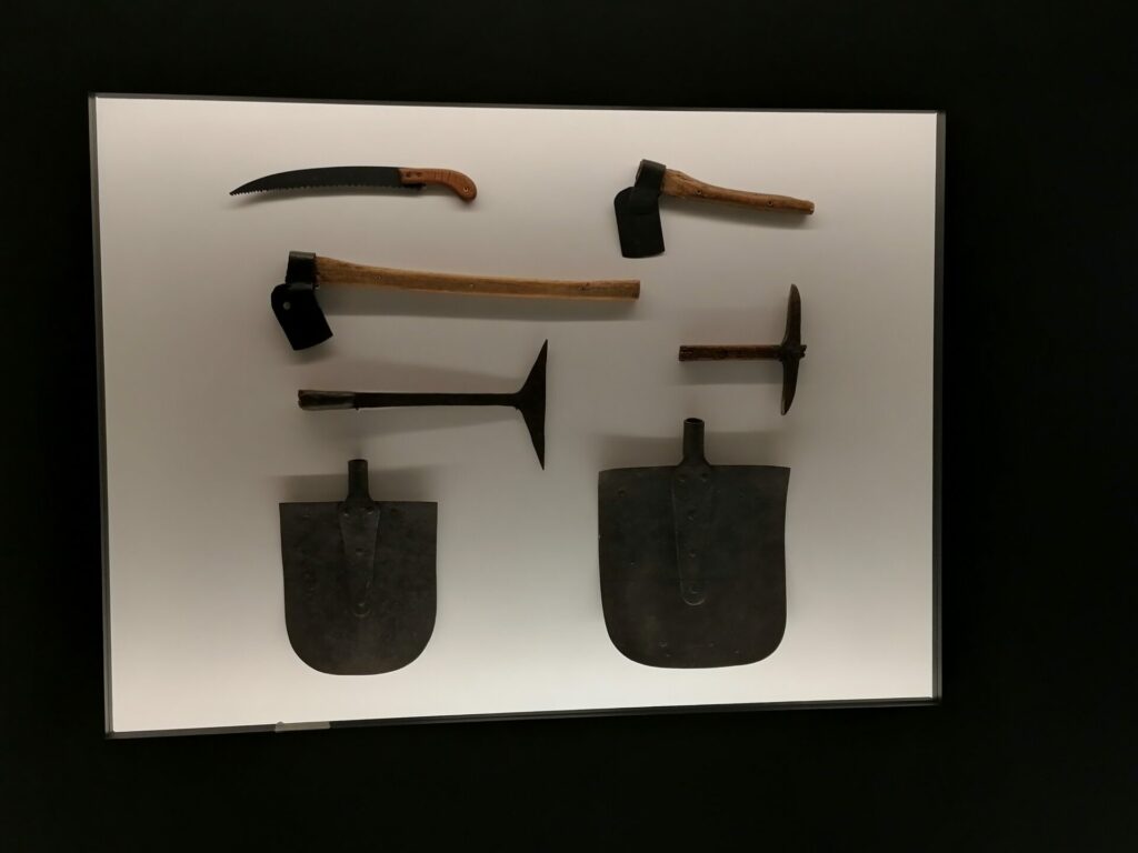 IMG 20220826 153815
