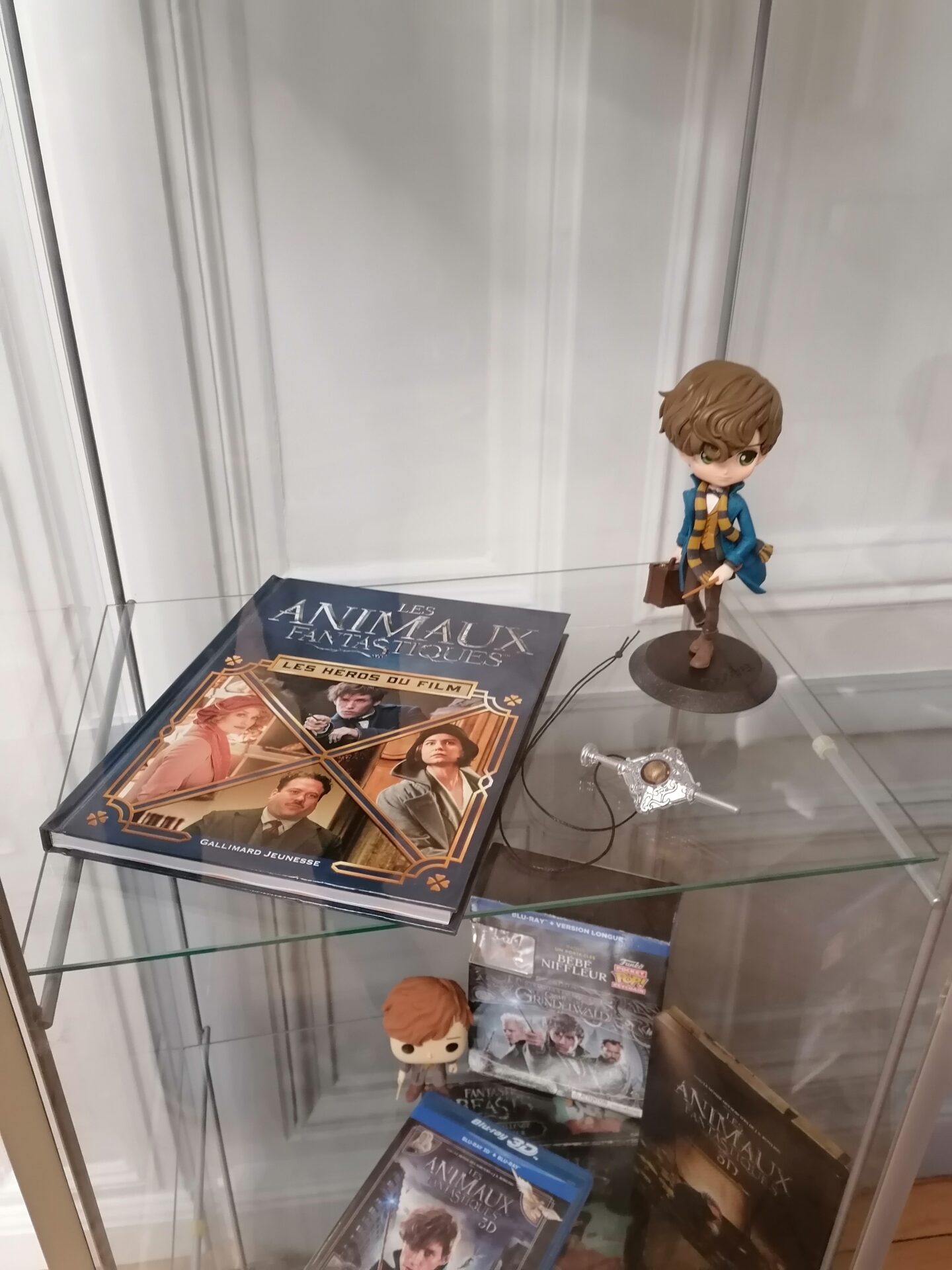 Livres Animaux Fantastiques