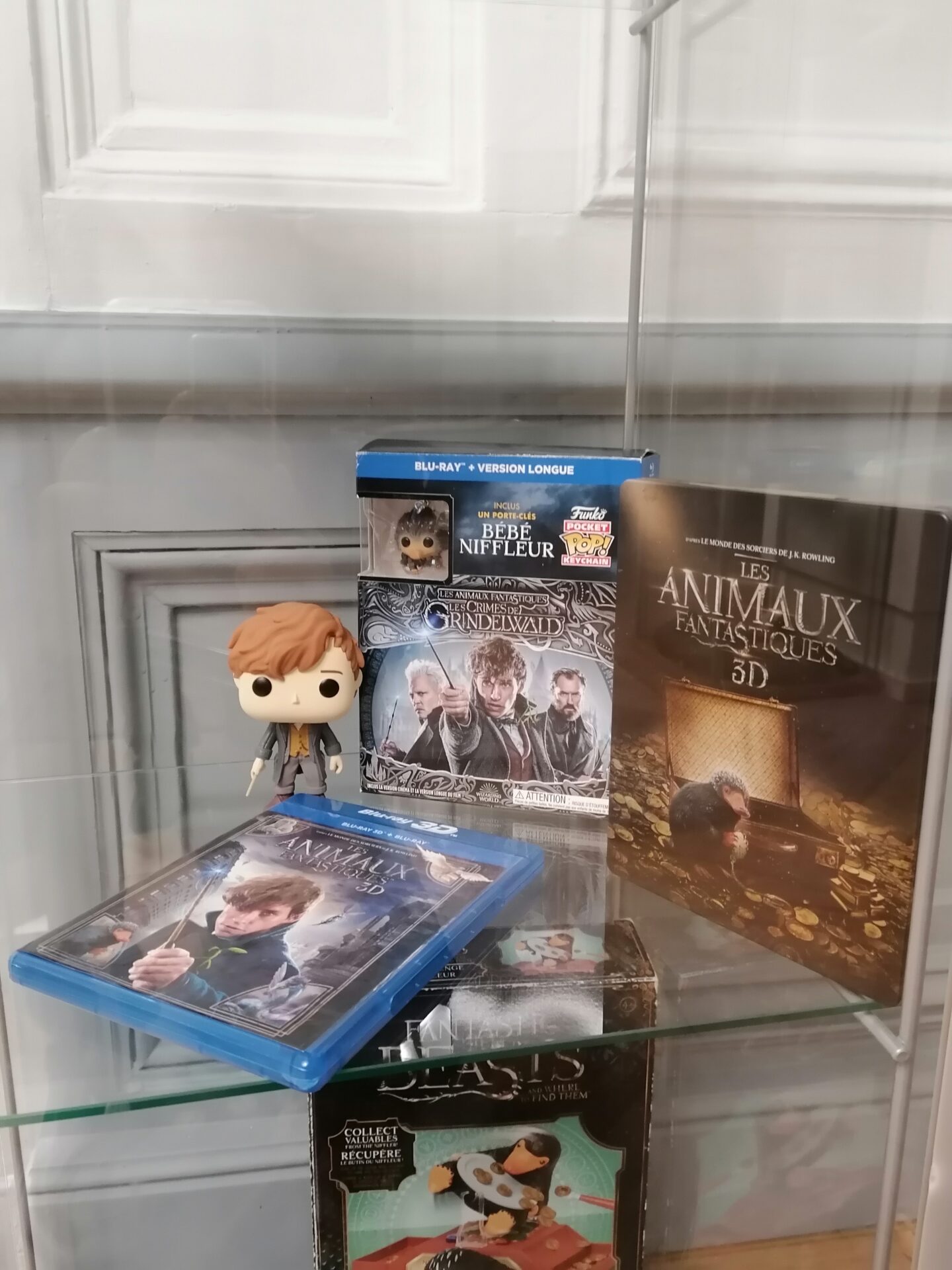 DVD Animaux Fantastiques