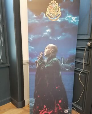 Exposition Harry Potter