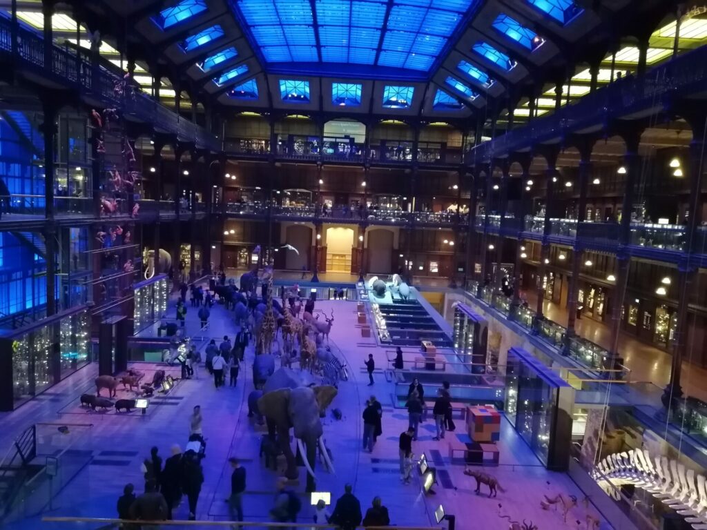 Les Vacances de mon Mini Geek Mr M. IMG 20221104 170421 1 1024x768, Quatregeek