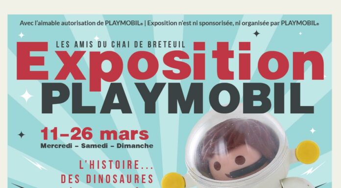 Playmobil chai de Breteuil