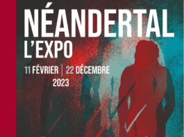 Neandertal Lexpo, Quatregeek